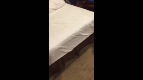 西安陌影情侣主 (4)_1744955663466-女神之家