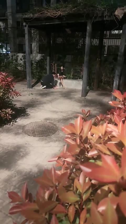 esse殿下 户外调教贱狗-女神之家