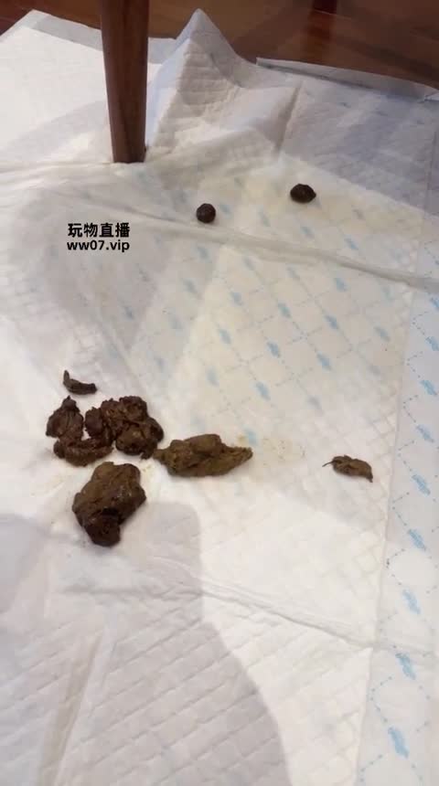 凉子 小刚来当厕奴-女神之家